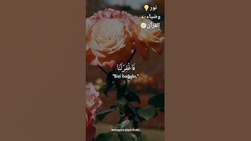 آيات من القرآن🕊تلاوة خاشعة😌إسلام صبحي🌹💜
