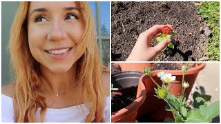 April 2023 Garden Tour! by Don't Kale My Vibe 853 views 1 year ago 8 minutes, 59 seconds