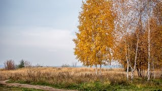 Артур - А любовь осенняя...