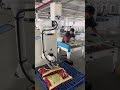 Sponge Vacuum Gripper Palletizing | Handling Uneven Surfaces Efficiently #Palletizing #Automation