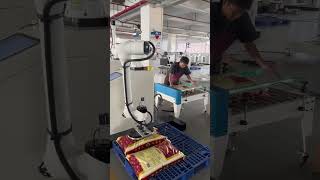 Sponge Vacuum Gripper Palletizing | Handling Uneven Surfaces Efficiently #Palletizing #Automation