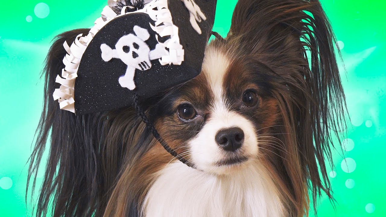 ЧТОБЫ РЫБКУ СЬЕСТЬ, надо в воду лезть! Веселый ЮКИ и ПОСЛОВИЦЫ - YouTube