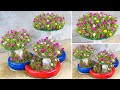 Ideas to Growing Portulaca ( Moss Rose) into Mushroom Pots for Small Gardens