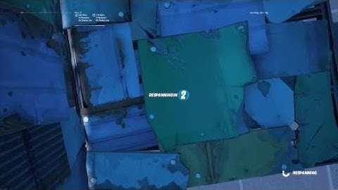 Pls stop saying  i macro