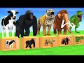 Extreme Hide and Seek Box Challenge with Cow Tiger Elephant Mammoth Dinosaur Gorilla Wild Animals