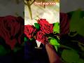 kasi ya lagti kamal #gulabjamun#Gulab #Rose #RoseLove #BeautifulRose #shortvideo