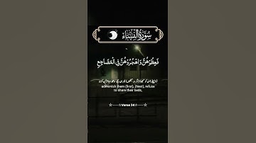 سورة النساء  #قرآن #قرأن #قران كريم ارح سمعك وقلبك #قرآن بصوت جميل #quran