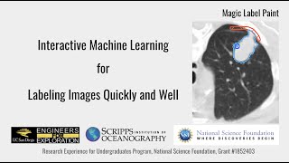 Magic Label Paint—Interactive Machine Learning for Image Labeling