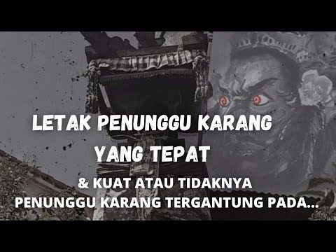 Video: Bolehkah anda meletakkan serpihan karang?