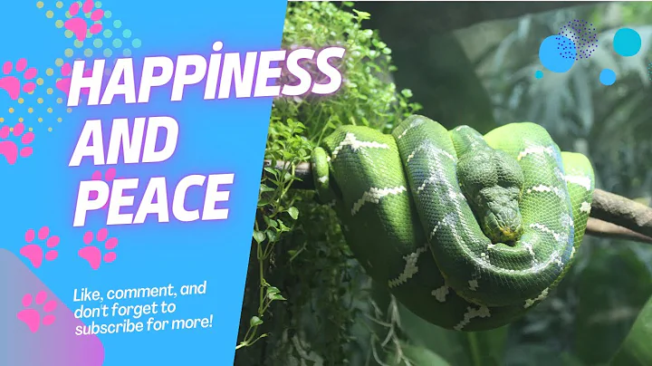 Can Snakes Be Pets? Exploring the Pros and Cons of Keeping Snakes at Home