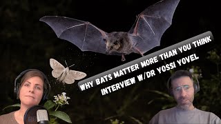 Why Bats Matter More Than You Think