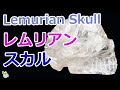 レムリアン スカル lemurian seed crystal Skull  【Mineral Stone】