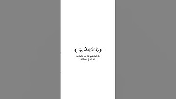 كروما شاشة بيضاء قرآن كريم 🌿تلاوة من سورة يونس 🌿القارئ عمر الرحال 🌿