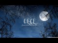 GECE {Enstrümantal Duygusal}