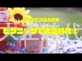 【ピクニック】替え歌で覚える歴史【大正時代②】