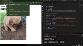 Python Project Demo: Guess the Number Website (100 Days of Code, day 55) Information