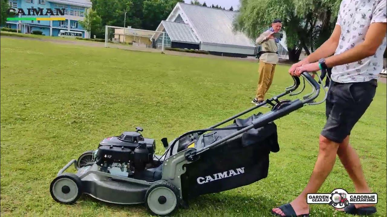 Газонокосилка бензиновая Caiman IXO 55HV с карданной передачей в работе ...