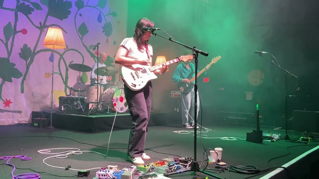 The Beths - Expert in a Dying Field