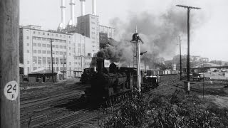 Steam on the Harbour: Darling Harbour's working trains