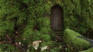 the moss- cosmo sheldrake (triple layered)