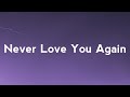 Cheat Codes, Little Big Town &amp; Bryn Christopher - Never Love You Again (Lyrics)