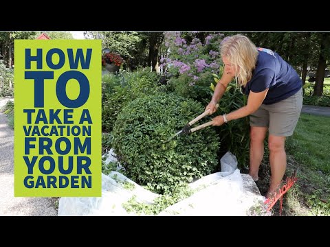Wideo: Wskazówki dla podróżujących ogrodników – jak dbać o ogród podczas nieobecności