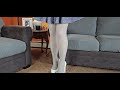 Gray pantyhose and high heeled shoes