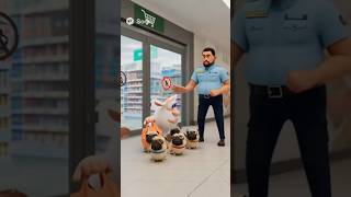 Искусственный интеллект буба 🤔часть:1 #сваты6 #dance #funny #memes