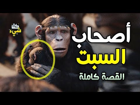 فيديو: هل مازال هناك مفردات في السبت؟