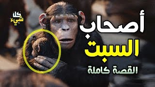 القصة الكاملة لأصحاب السبت وسر تحولهم الى قرود وهل يوجد من نسلهم أحد في يومنا هذا؟