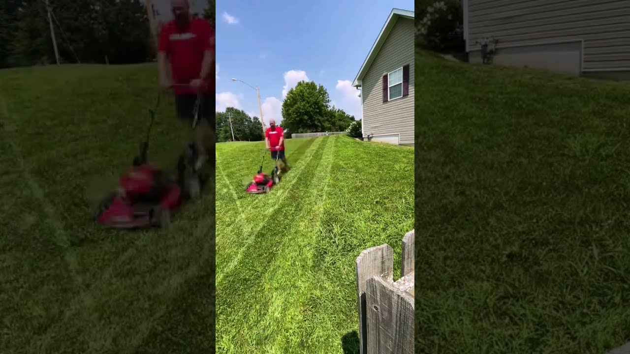 A Real Test For The Lawn Stryper Tiktok PharmDad MowerLiving Com