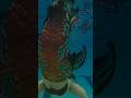 New tail its the song of the sea from finfolkproductions im swimming with blacklakesiren