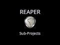 Sub Projects in REAPER