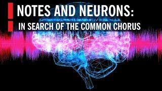 Notes and Neurons: In Search of the Common Chorus