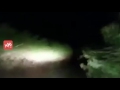 4 held for chasing lion cub in car and taking video