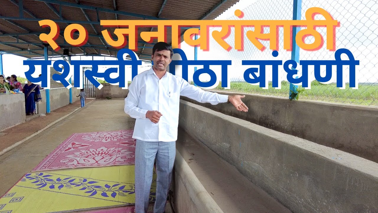 २० जनावरांसाठी यशस्वी गोठा बांधणी !!!