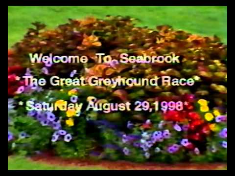 Video: Florida Shtatida Greyhound Racing Poyga Taqiqlandi