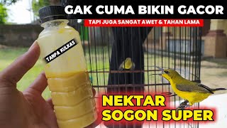 FIRST I TRYED IT AND THE RESULTS ARE AMAZING❗SOGON NECTAR IS SUPERIOR..❗