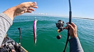 Ravenous! Angry BIG Bluefish In Crystal Clear Water | (Catch, Cook)