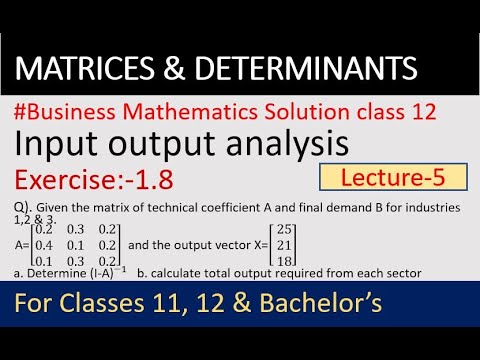 Input output method solution | Business math 12 | how to apply input ...