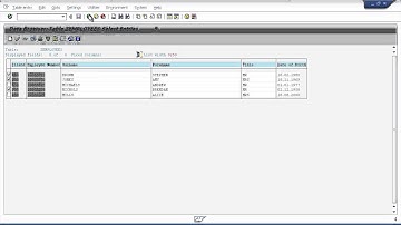 SAP ABAP - View the Data In Your Table Using ABAP Workbench