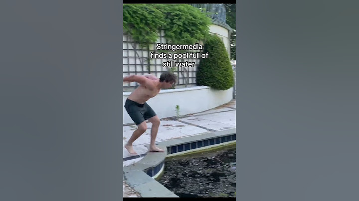StringerMedia jumping in a pool of Stillwater ￼