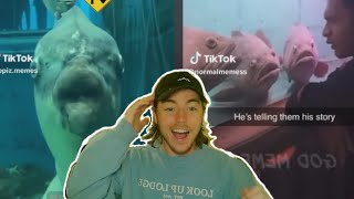 Fish Biologist Reacts To HYSTERICAL Tik Toks