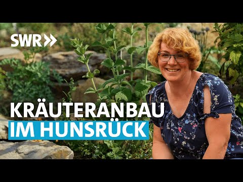 Video: Review-Wettbewerb Der Ausstellungsgärten 