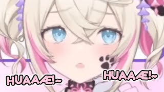 Mococo crying because she lost her run... [hololive / fuwamoco] Wealth