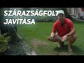 Szárazságfolt javítása.