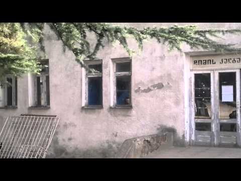 სავალალო მდგომარეობაში მყოფი დიმის კულტურის სახლი