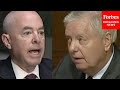 'You Do Know You're Under Oath': Lindsey Graham Grills Mayorkas On Afghan Refugee Vetting