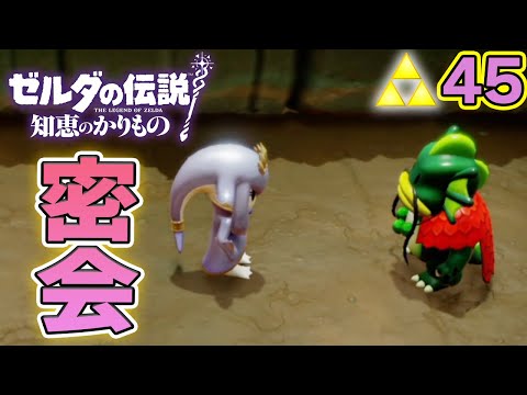 幼馴染で種族のリーダー同士...羨ましいなぁ！！ ゼルダの伝説『知恵のかりもの』実況プレイ!! #45【ぽんすけ】
