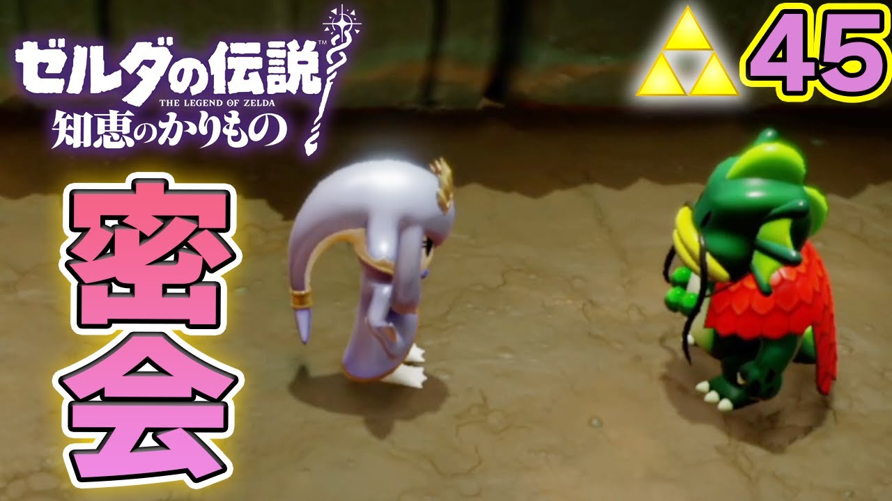 幼馴染で種族のリーダー同士羨ましいなぁ！！ ゼルダの伝説